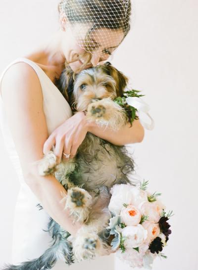 Pup love! Erin turns up the vintage glamour in Amy Kuschel's Belvedere wedding gown. Photography by KT Merry Photography.